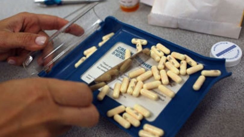 Scientists find antibiotic that kills bugs without resistance