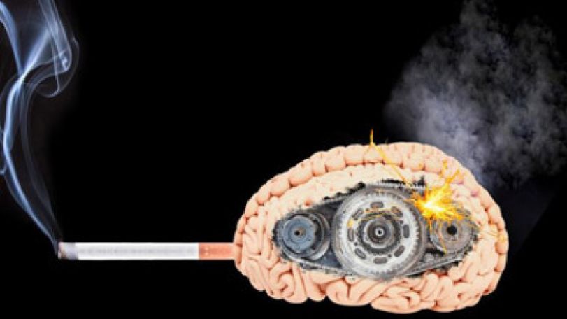 Cigarette addiction affects men, women's brains differently