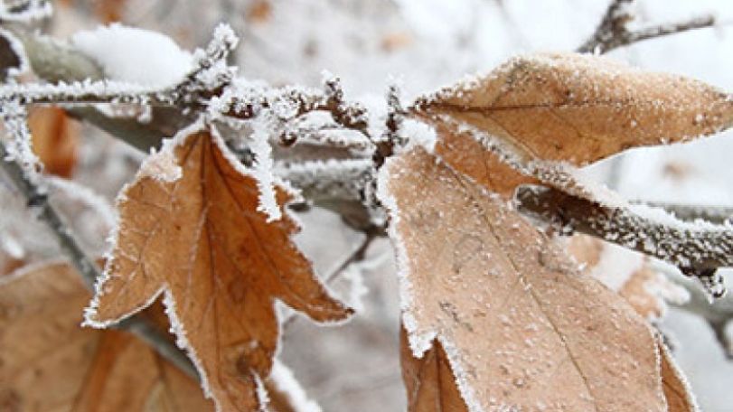 Weather in Armenia: No precipitation expected until Jan 3 