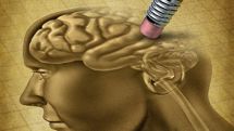 Breakthrough in restoring memories: Work in snails could one day lead to new hope for patients    