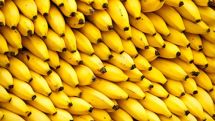 Only Ecuadorian bananas imported into Armenia in July 