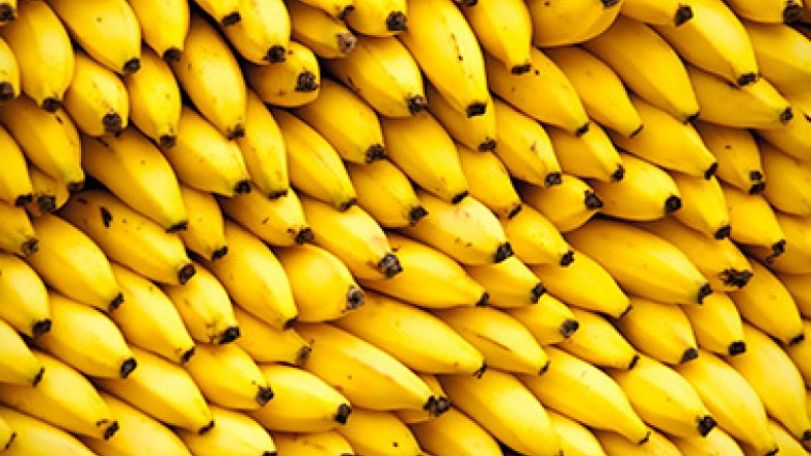 Only Ecuadorian bananas imported into Armenia in July 