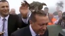 Bird attempts to perch on Erdogan’s head 