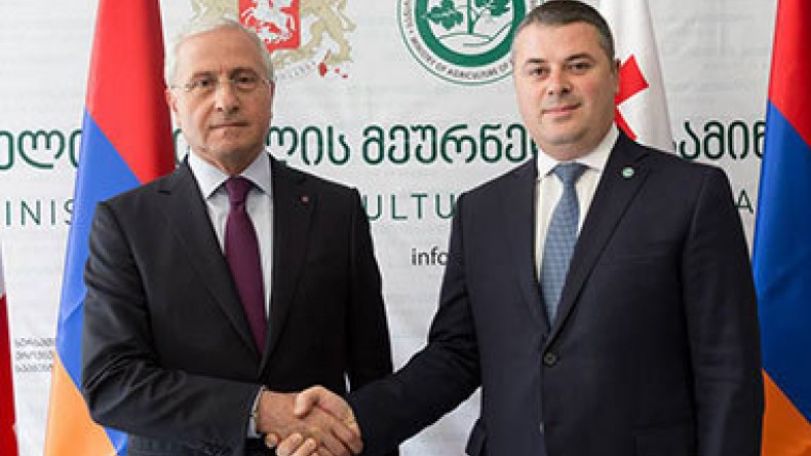  Agriculture ministers of Armenia and Georgia discuss expansion of cooperation 