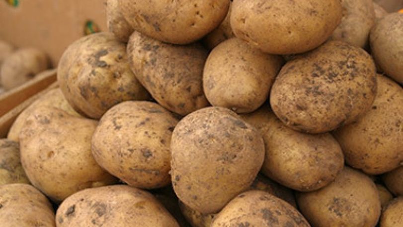 No reason for panic – potato prices will decline soon: Armenian agriculture ministry 