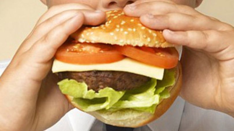 Fast food is bad for the brain   