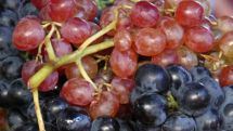 There will be no problems with grape procurement: Armenian agriculture minister meets with farmers