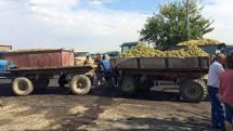 «Սոսկալի տեսարան է». Գյուղացիները մի քանի գիշեր անցկացնում են գործարանների դիմաց (լուսանկարներ)