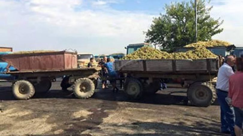 «Սոսկալի տեսարան է». Գյուղացիները մի քանի գիշեր անցկացնում են գործարանների դիմաց (լուսանկարներ)