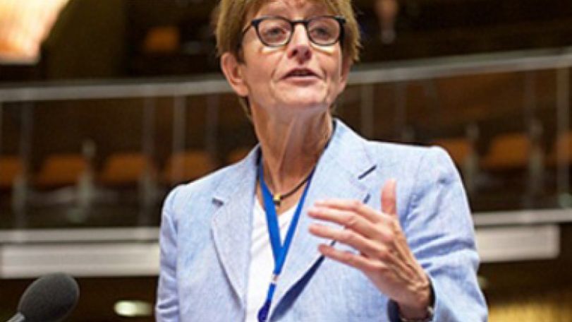 PACE President writes to Azerbaijan’s President Aliyev citing «deepest concerns»over human rights situation
