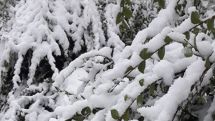 Winter in the middle of autumn: Heavy snow in Syunik province of Armenia