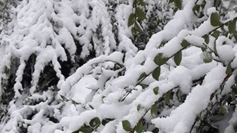 Winter in the middle of autumn: Heavy snow in Syunik province of Armenia