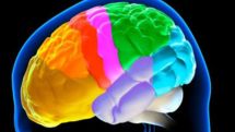 Different parts of brain age at different rates in different people