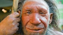 Scientists slam the caveman diet