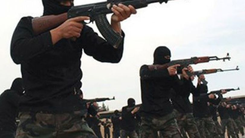 ISIL advancing Zionist plot in Syria – analyst