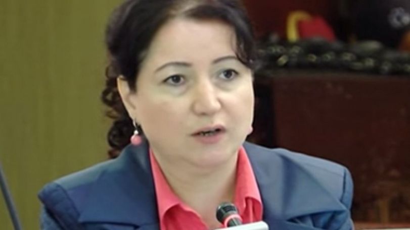 «Այո» ասելու համար Նախագծում կան դրույթներ, բայց վտանգներ էլ կան. Հերիքնազ Տիգրանյան