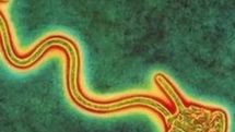 Ebola serum supply reaches Liberia  