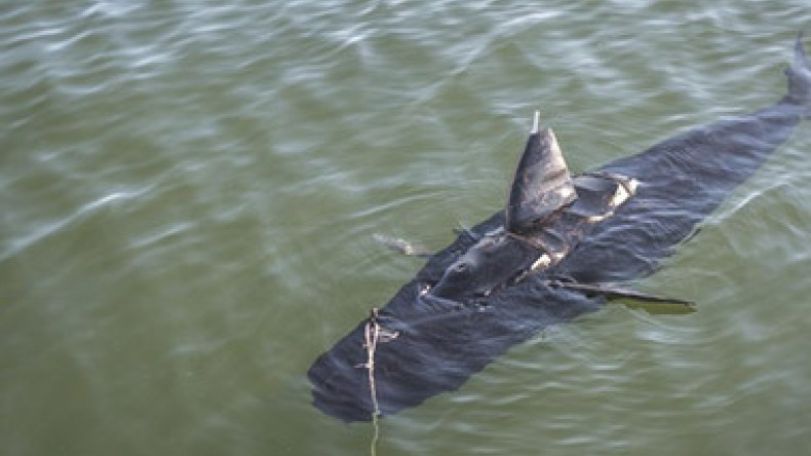 US Navy tests shark-like underwater drone created for surveillance purposes    