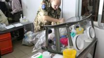 Mali: Last known Ebola case cured, released