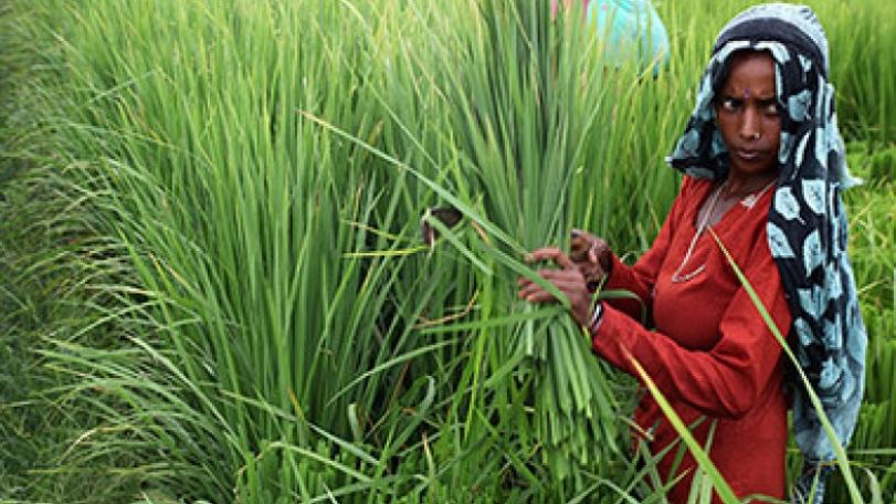 How much of a winner is India in WTO trade facilitation agreement?    