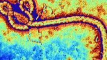 Ebola vaccine trial 'interrupted'