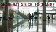 China share trading halted after 7% plunge