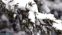 Gagik Surenyan: More snow, storms on the way
