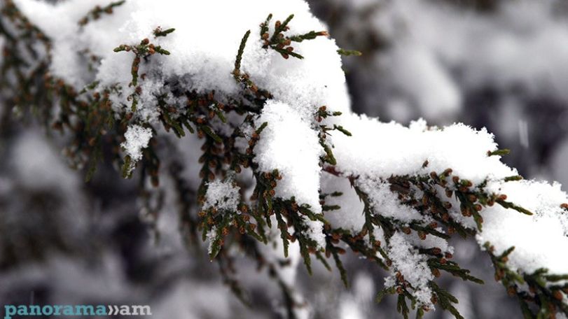 Gagik Surenyan: More snow, storms on the way