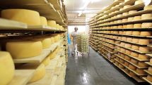 Armenian cheese exports continue unimpeded