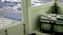 ‘US to face global protests over CIA torture report’
