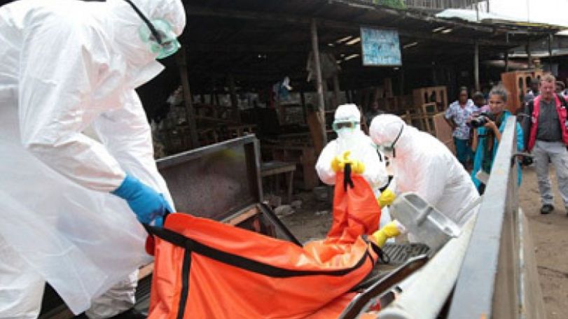 Could the Ebola epidemic trigger surge in malaria?