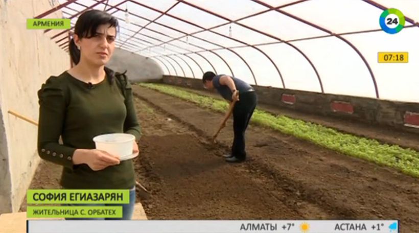 В горах Армении построили теплицу с обогревом энергией солнца. Репортаж «МИР 24»