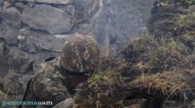 Subversive operation by Azerbaijan suppressed