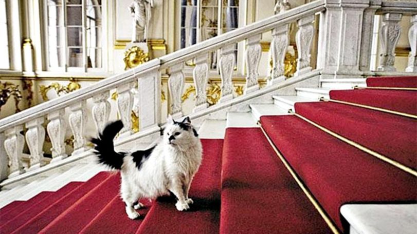 Эрмитажные коты – отныне не просто бренд, но еще и одна из достопримечательностей мира