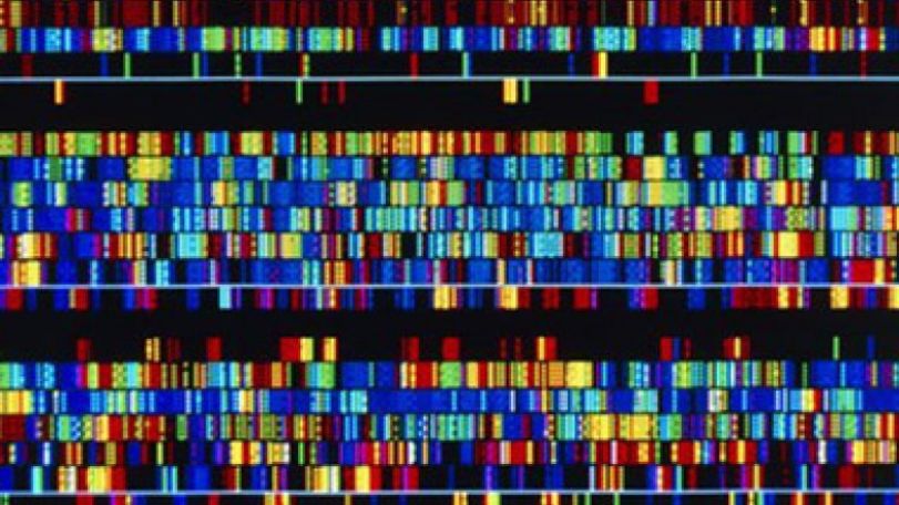 Genetic diversity of Sub-Saharan Africa revealed