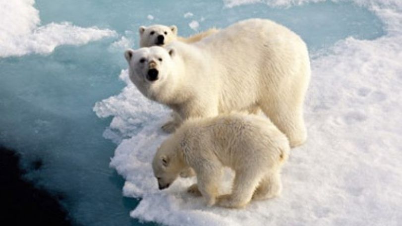 2014 may be the hottest year on record