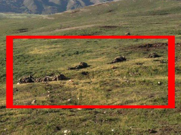 ԼՂՀ ՊՆ-ն փախուստի ժամանակ ոչնչացված ադրբեջանցիների լուսանկարներ է հրապարակել
