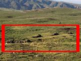 Azerbaijani authorities persecute Meydan TV for exposing Azerbaijani army’s hidden losses in “four-day war”