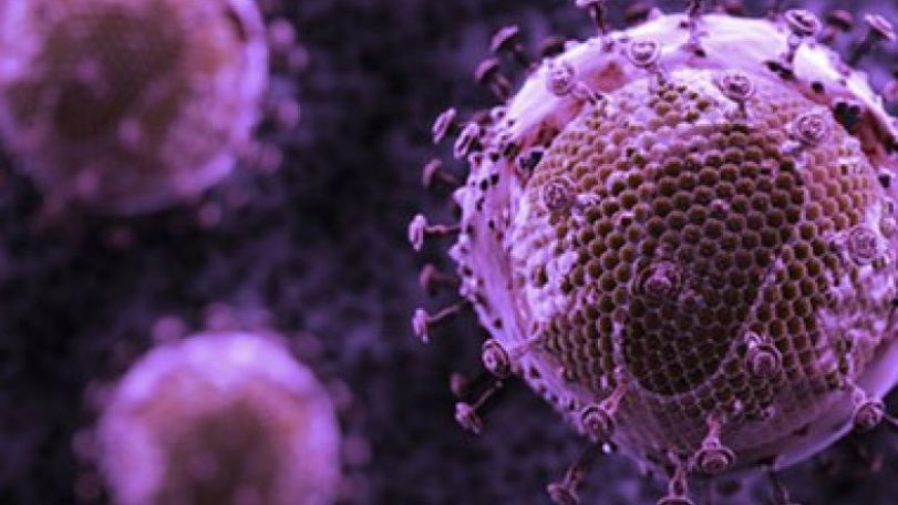 HIV evolving 'into milder form'