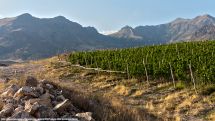 CNN includes Armenia in its list of 15 wine trails worth getting sidetracked on