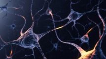 Nerve cells 'grown' in a lab could reveal more about how injury affects the body