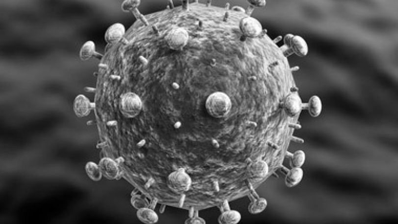 Why some people are naturally immune to HIV
