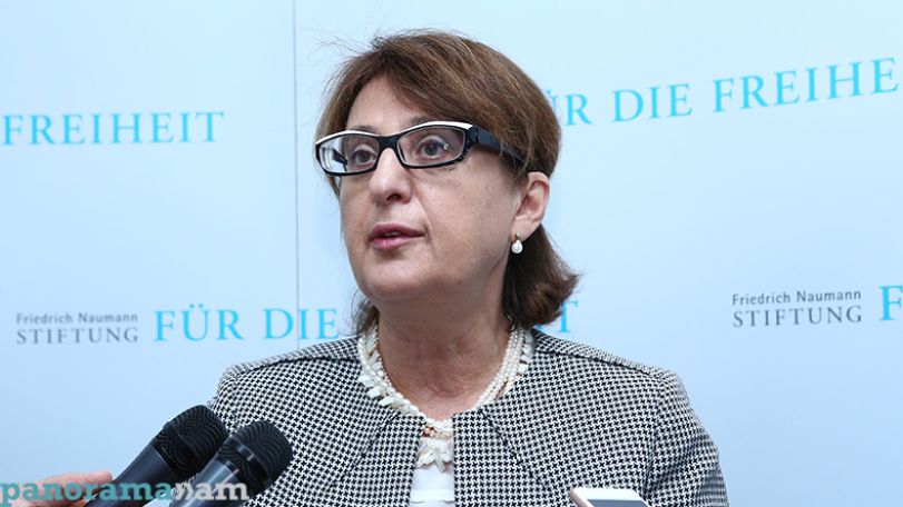 No problems between Georgia, Armenia in the political arena, Maya Panjikidze says
