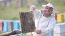 The enthusiast of Armenian honey-making