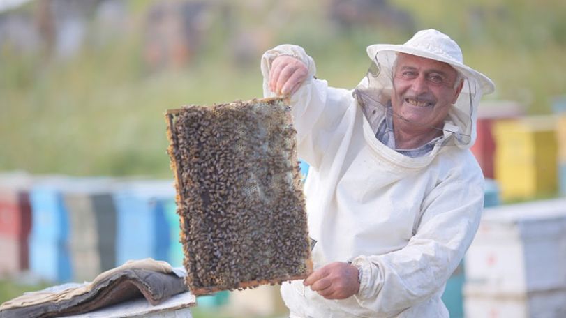The enthusiast of Armenian honey-making