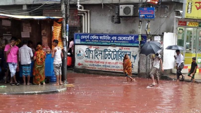 Rivers of blood flow on streets of Dhaka after Eid animal sacrifices