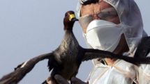 Bird flu worries spread in Europe
