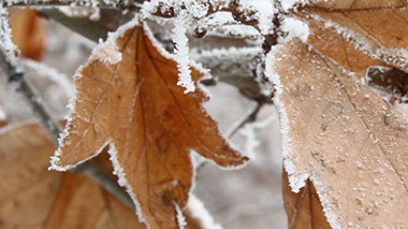 Temperatures to drop by 4-6 degrees 