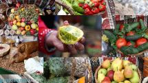 “We can cultivate anything,” an Artsakh resident says during ArmProdExpo specialized exhibition