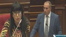 Naira Zohrabyan: Issue of  Interaction via skype remains pending for three years